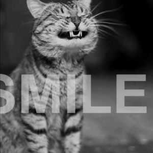 Meet your Posher, Myra